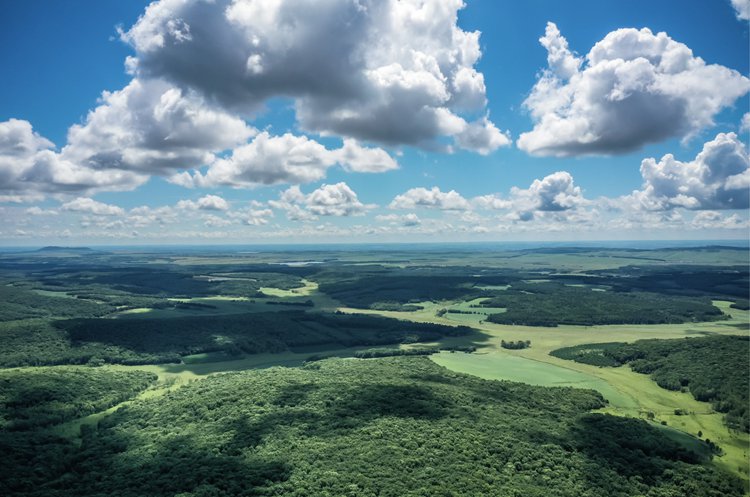 茂山林場